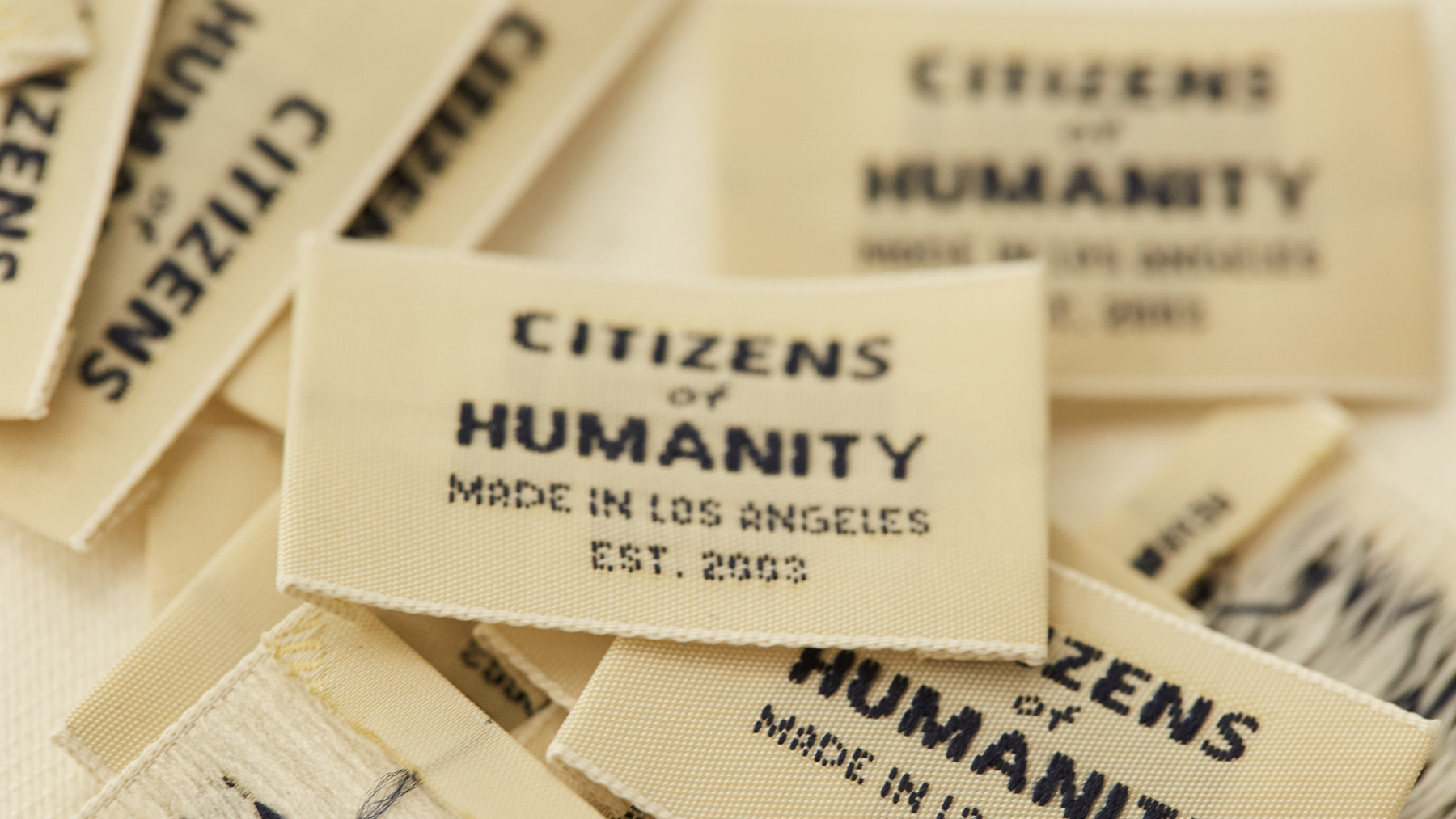 Citizens against humanity 2025